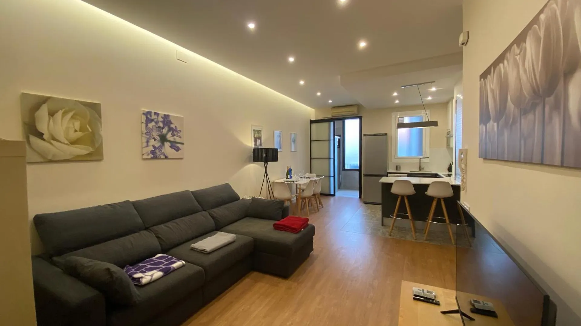 Spatious Luxe Apartment Paseo De Gracia Diagonal Barcelona Spain