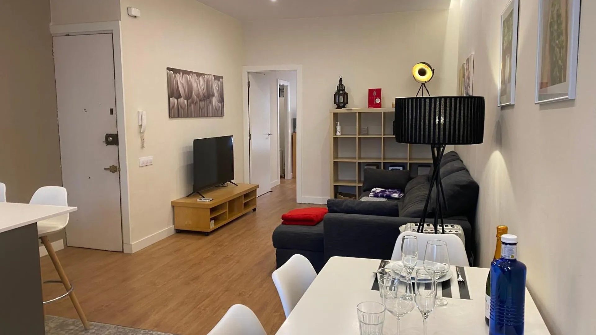 Spatious Luxe Apartment Paseo De Gracia Diagonal Barcelona Spain